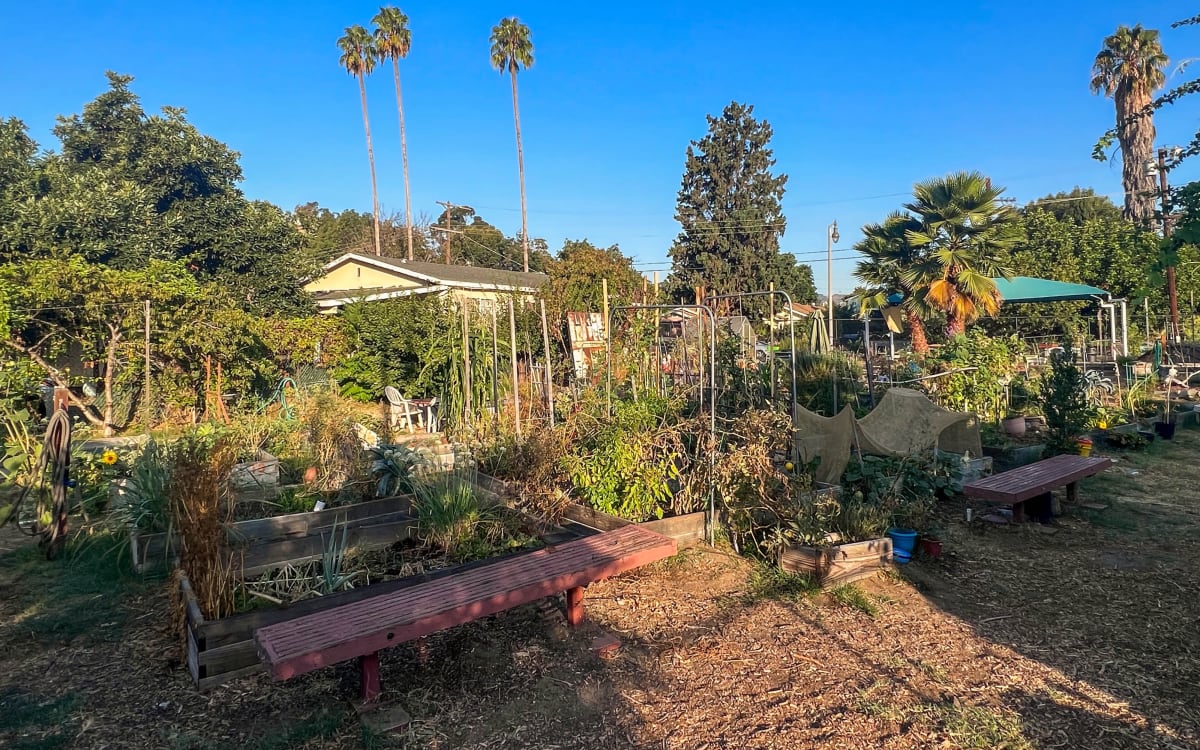 Frogtown Community Garden, los Angeles, CA Production Peerspace
