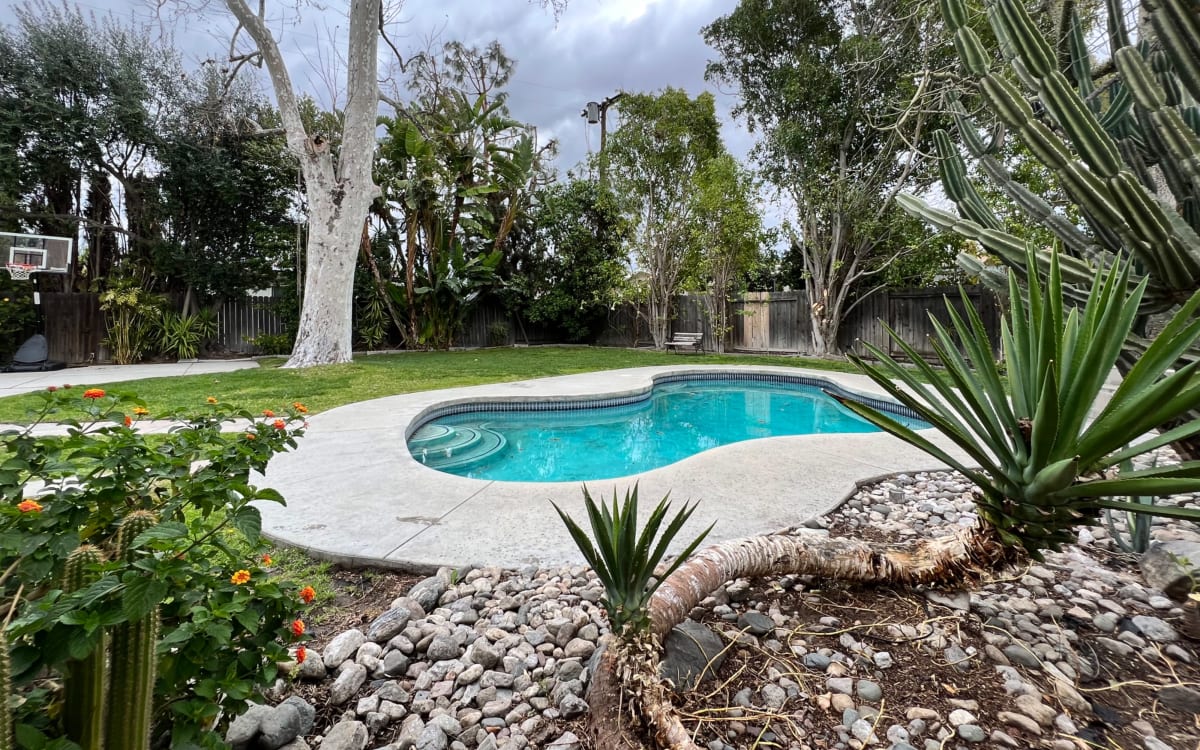 Discover the Ultimate Park with Pool Yard for Family Fun and Relaxation