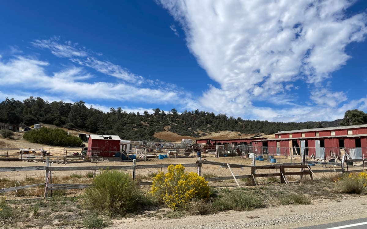 Rustic Animal Farm, Ventura County, CA Production Peerspace