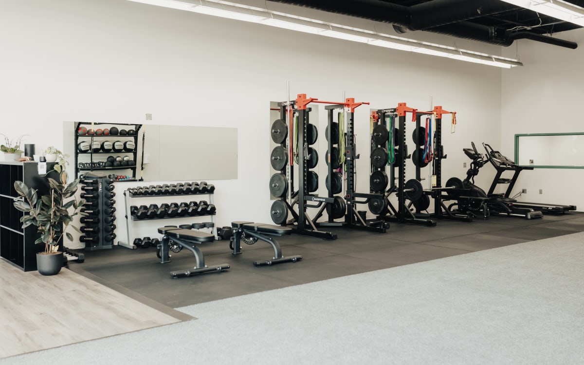 Bright Gym Fitness Studio with Large Window Wall and Gym Equipment