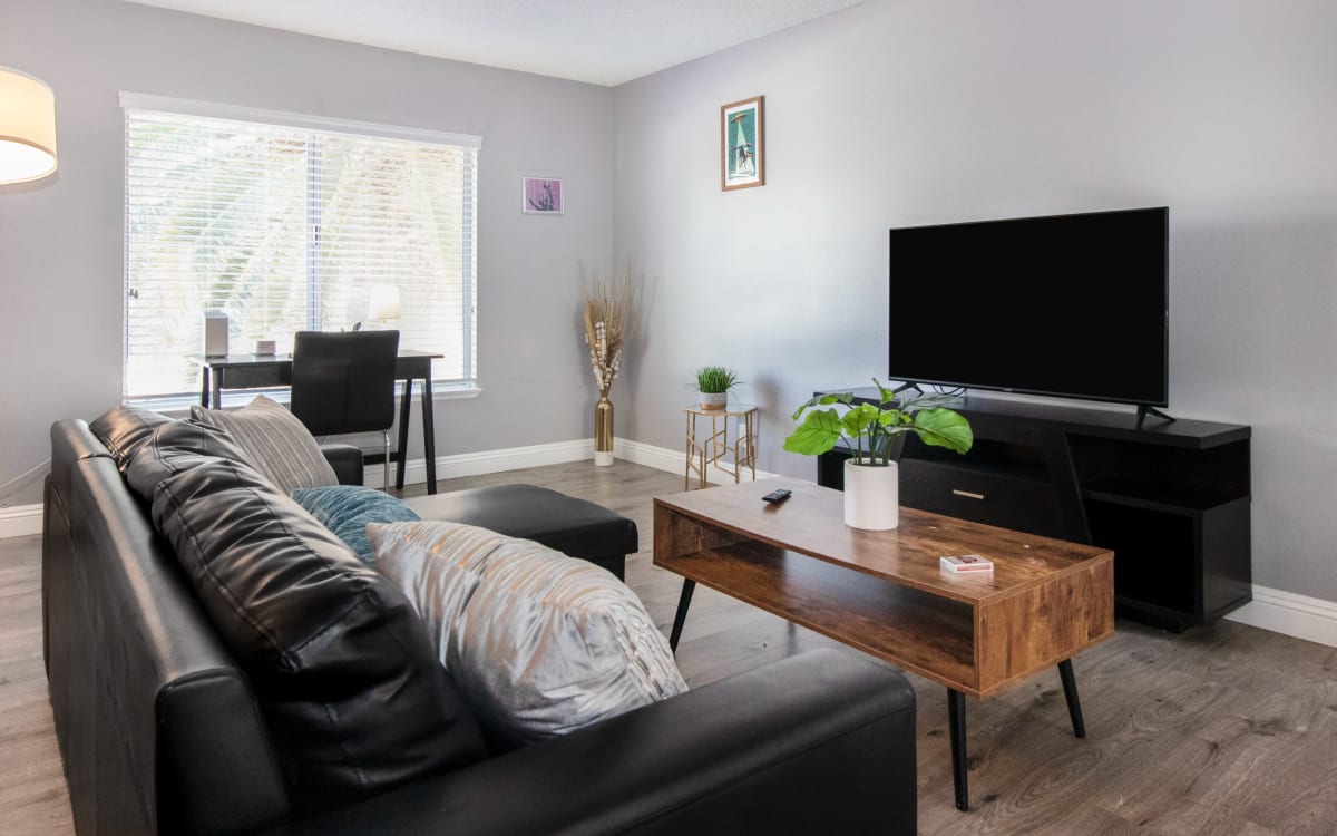 Vegas Oasis w/pool+spa+sauna, Las Vegas, NV Production Peerspace