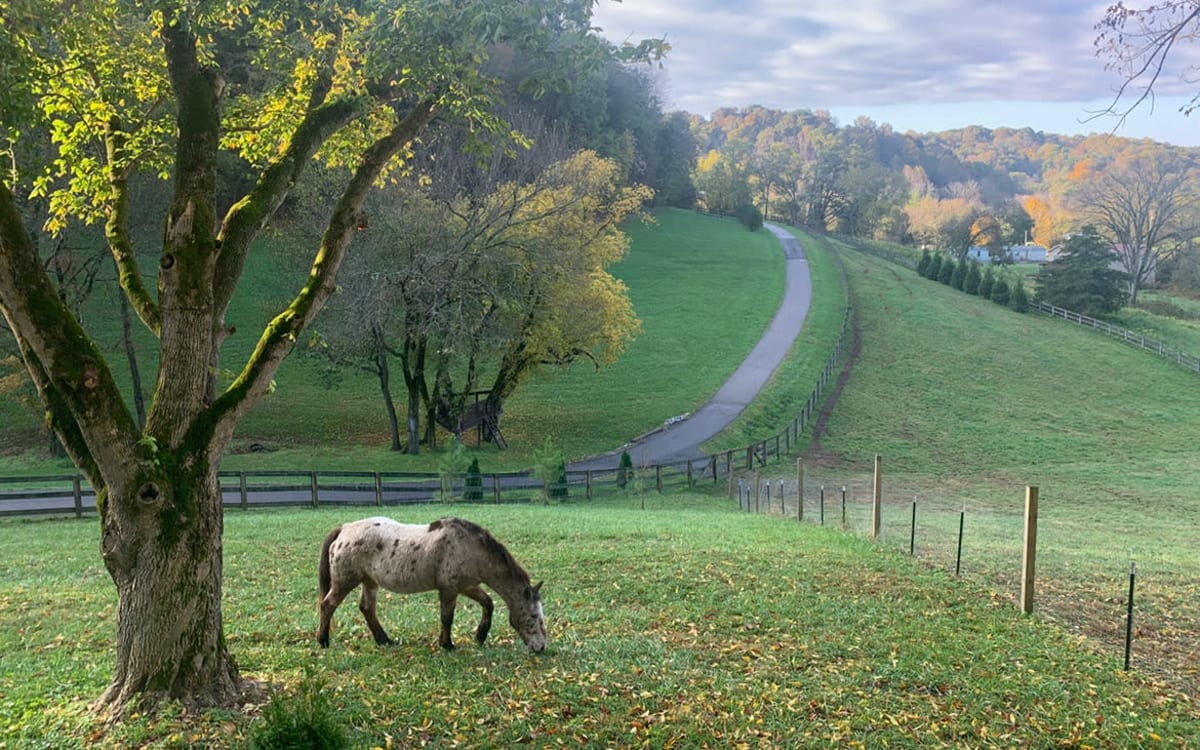 Country Home with Views of Rolling Hills, Franklin, TN Production