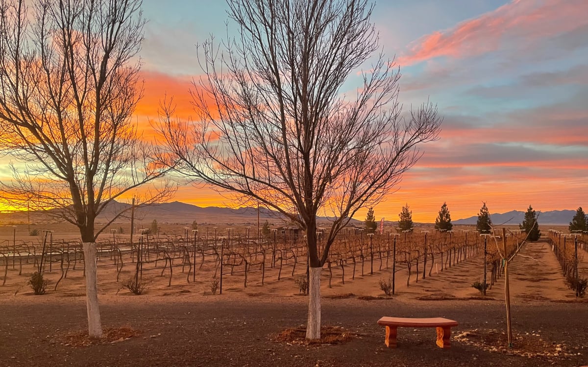 Beautiful Winery in Kingman, Arizona Perfect for Large Productions