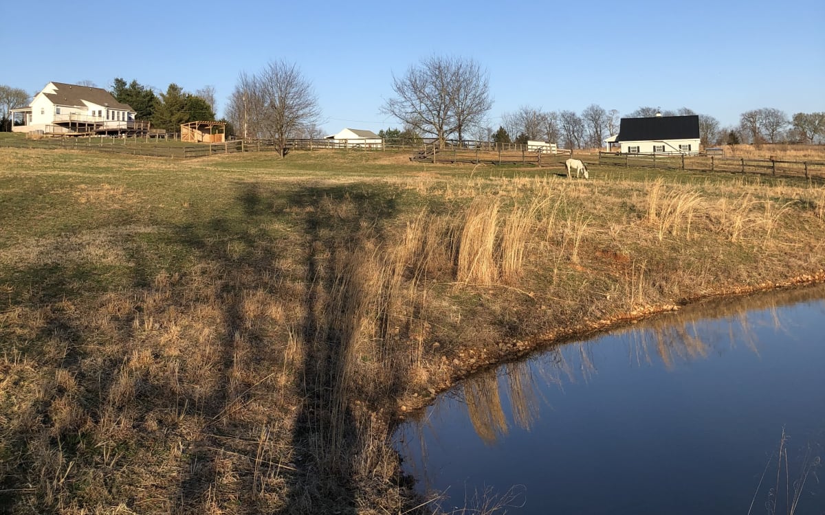 10 Acre Horse Farm with Pastures, Barn, and Cottage, Springfield, TN