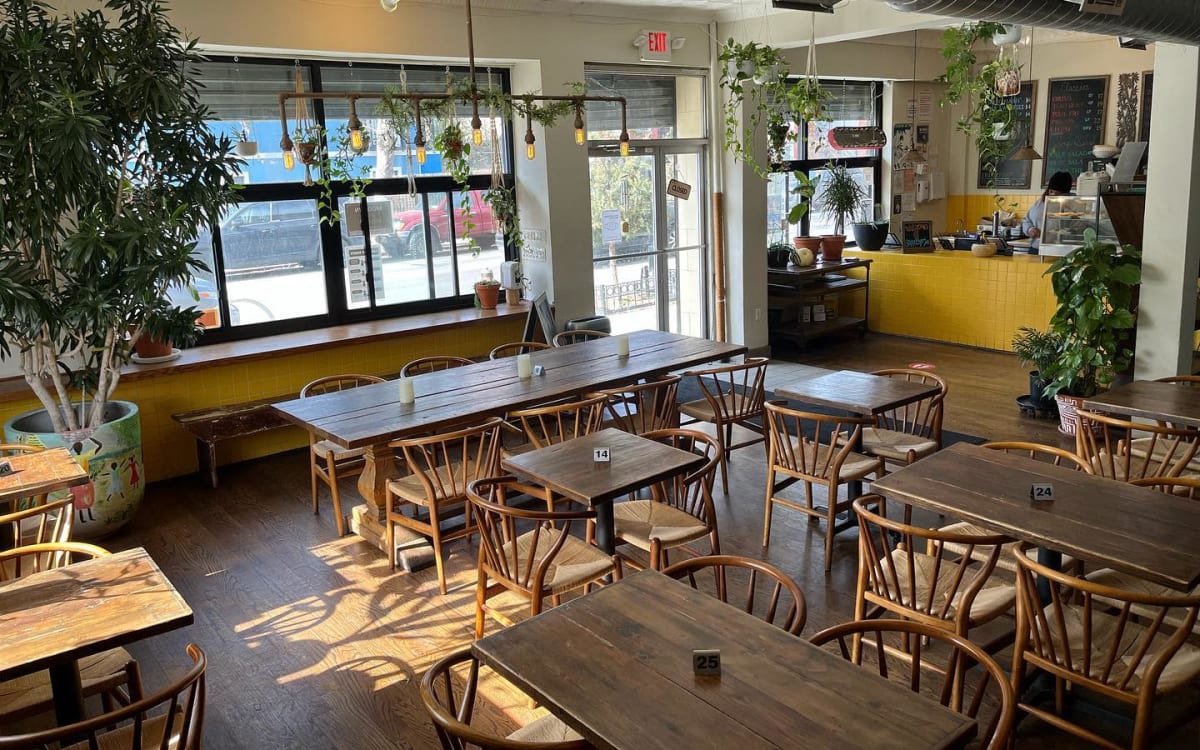 BedStuy Sunlit Garden, Brooklyn, NY Production Peerspace