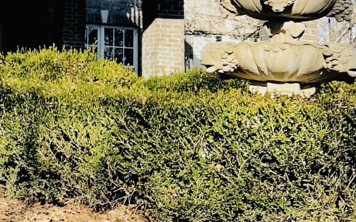 2000 sq ft with pool on almost 50 acres , 25 mins from downtown