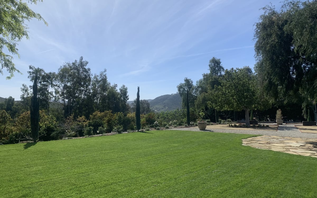 Enchanted Elfin Forest Property with Spacious Yards, Beautiful