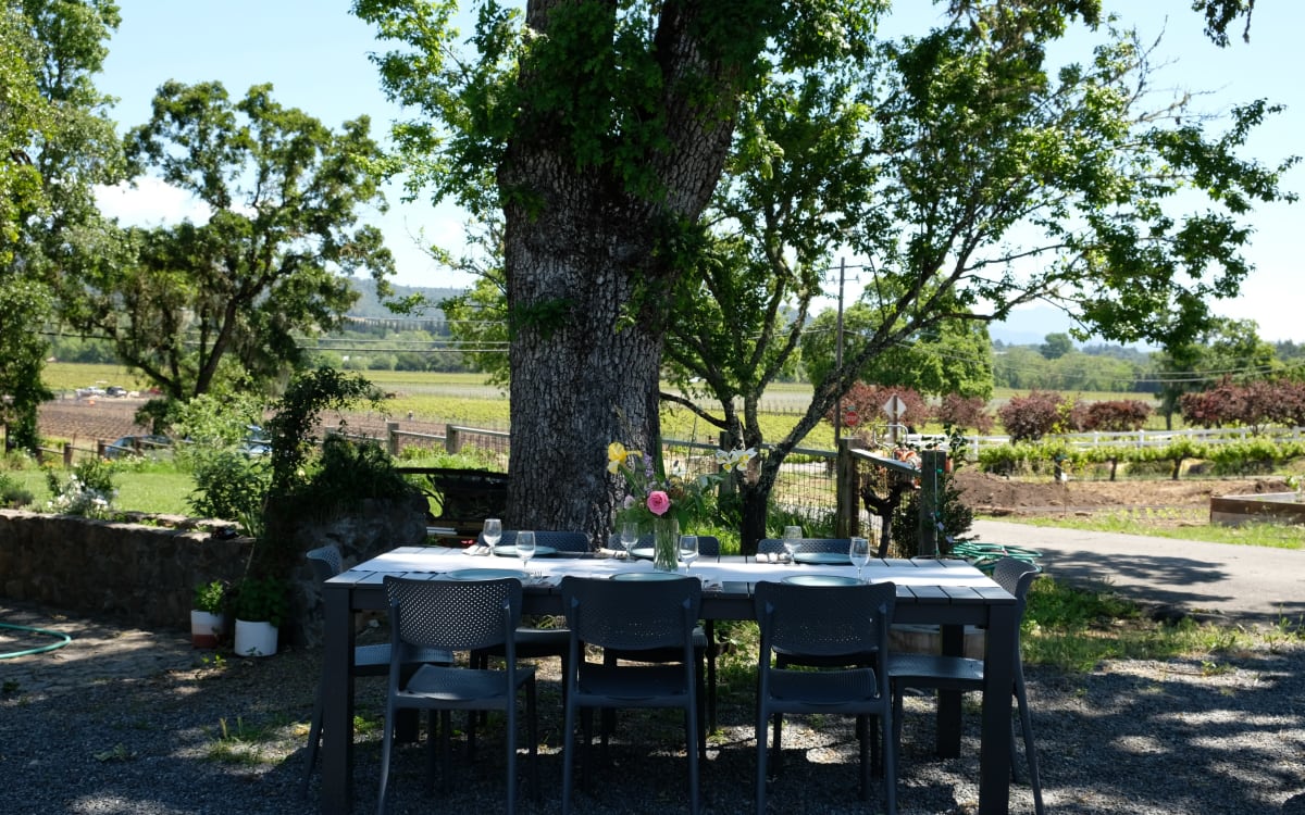 Private 2.5 Acre Farmstay + Organic Vineyard with sweeping views of Dry