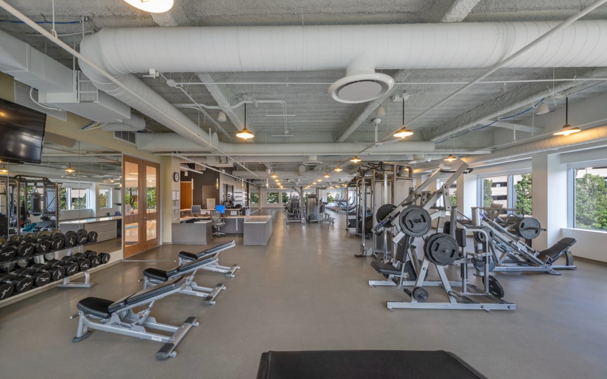 14,000SF of ReadytoUse Gym Facility, with Studio for classes. Men and Women locker rooms, with