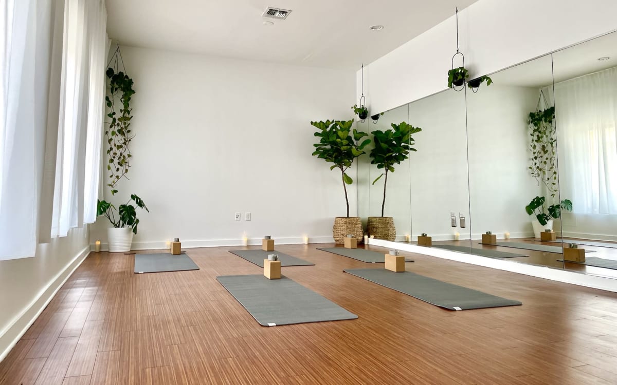 Intimate Airy Yoga Studio in the Heart of Dallas, Dallas, TX Event