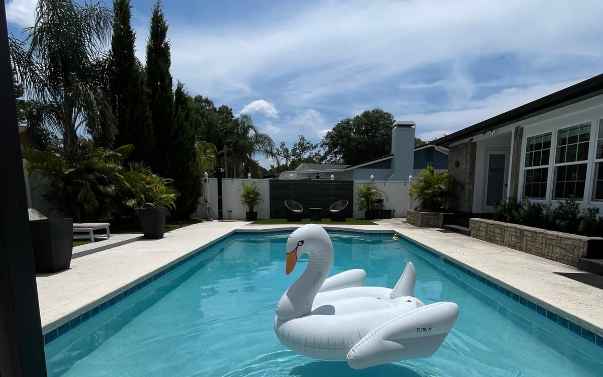 Marvelous Home in the Heart of Northdale For Content Creation, Tampa