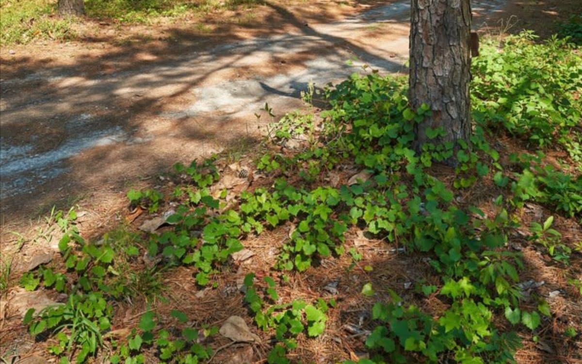 Private Retreat Villa in The Pines, Southern Pines, NC Event Peerspace