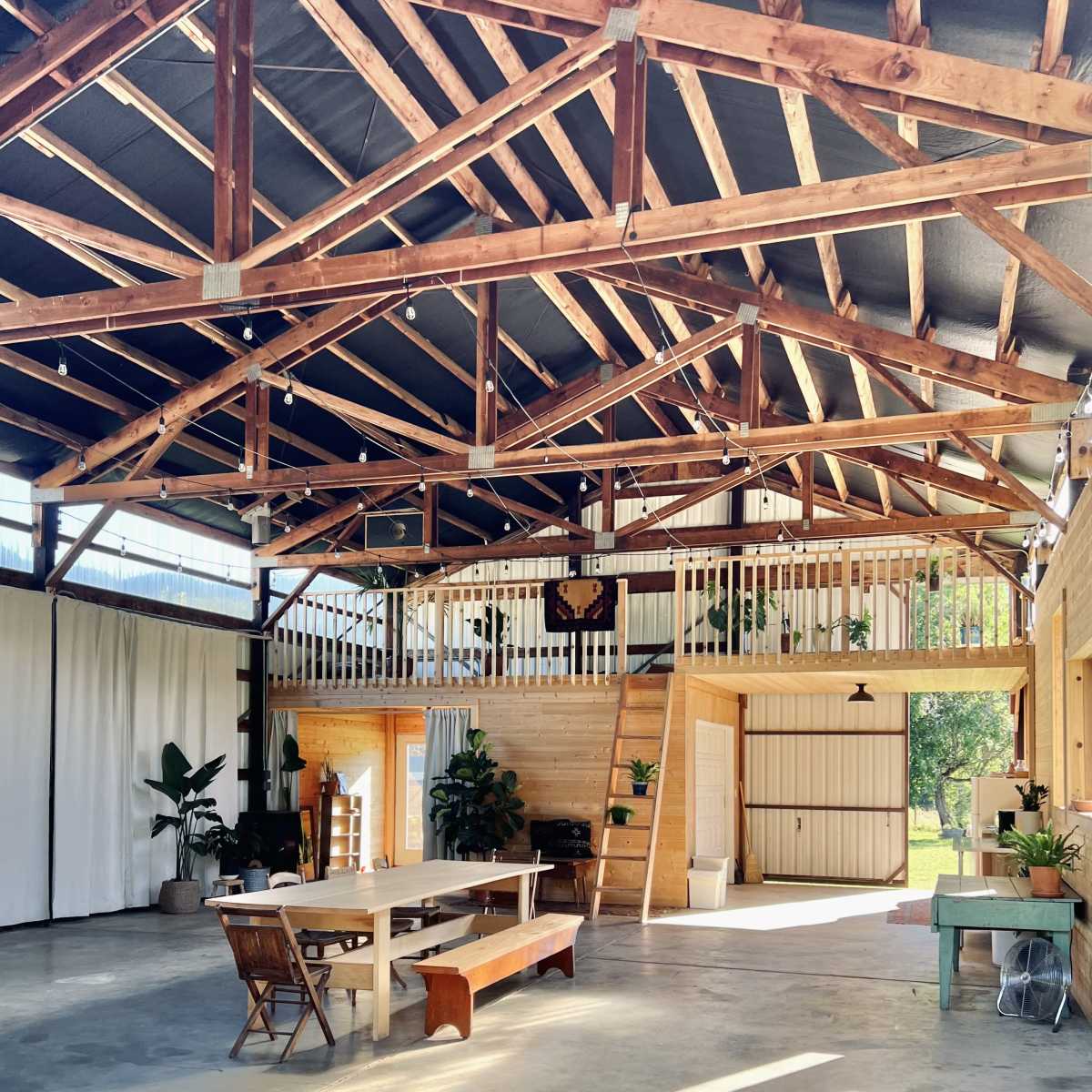 An open, spacious interior of a barn with a high wooden ceiling, featuring a long table and benches, along with various plants and light coming through large windows.