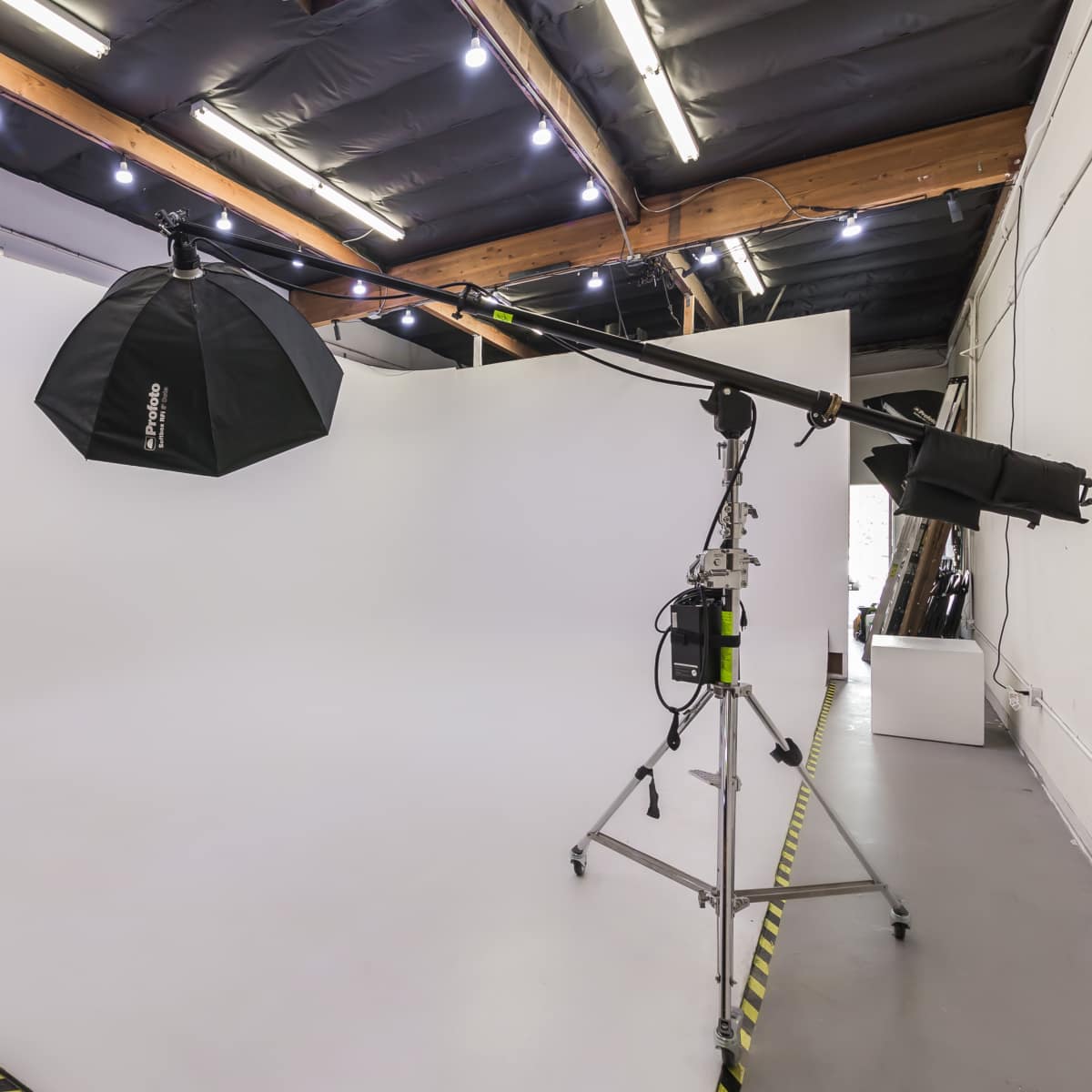 A photography studio with a white backdrop, lighting equipment, and a plant in the corner.