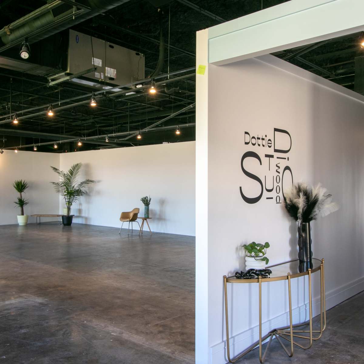 A spacious, empty interior of a studio with white walls, modern lighting, and minimal furnishings including a chair and decorative plants.