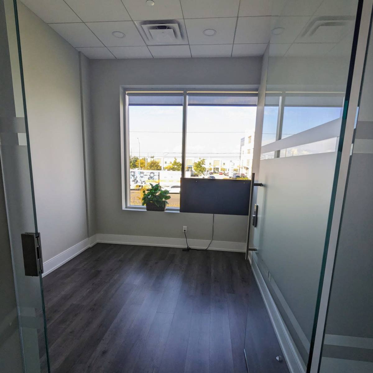 A small office space with a large window, a potted plant, and a mounted screen on the wall.