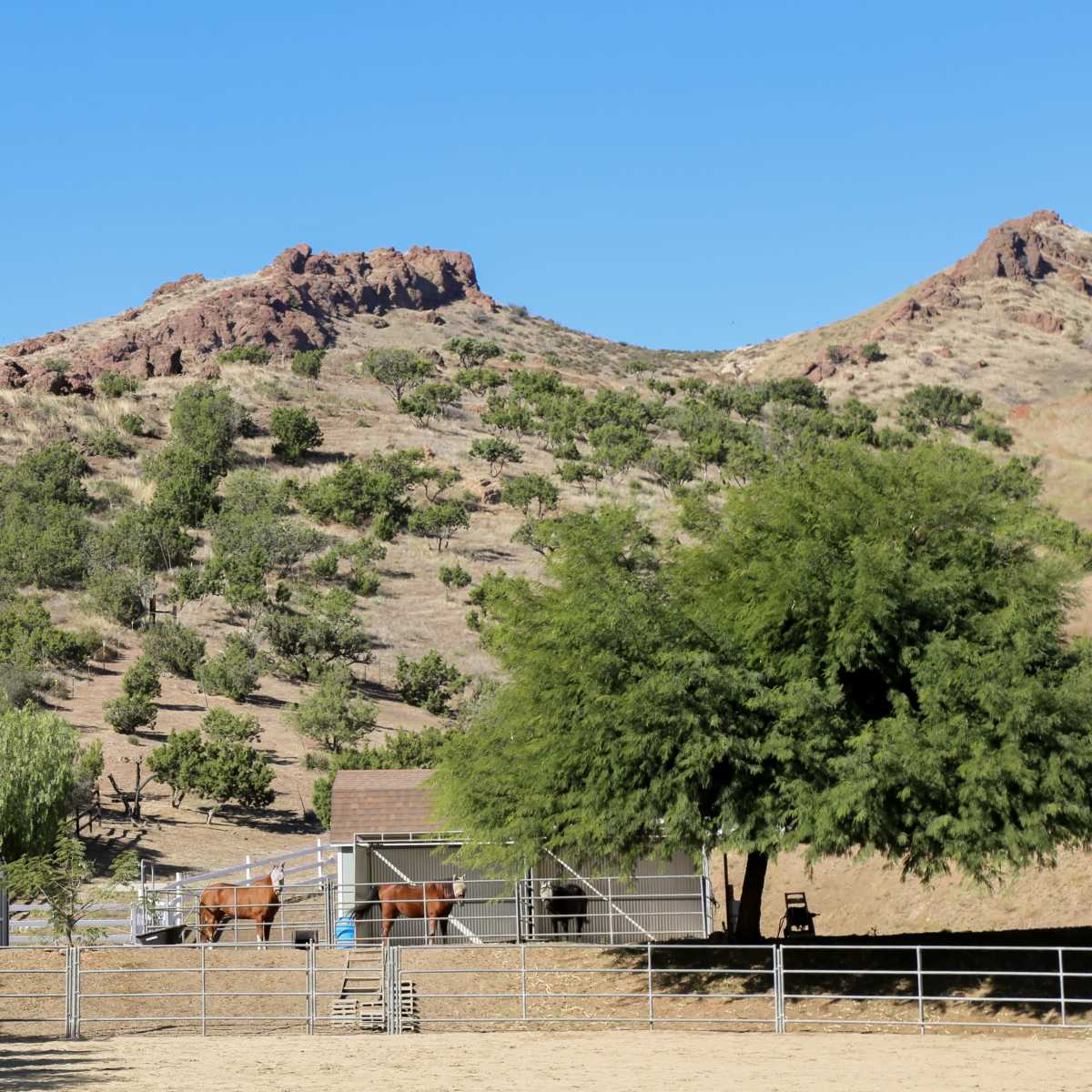 A simple ranch scene features two horses near a stable, with rocky hills and trees in the background.