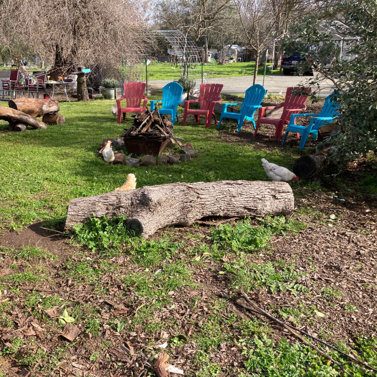 Cozy Fireside Experience in Citrus Heights Image in Citrus Heights, Citrus Heights, CA