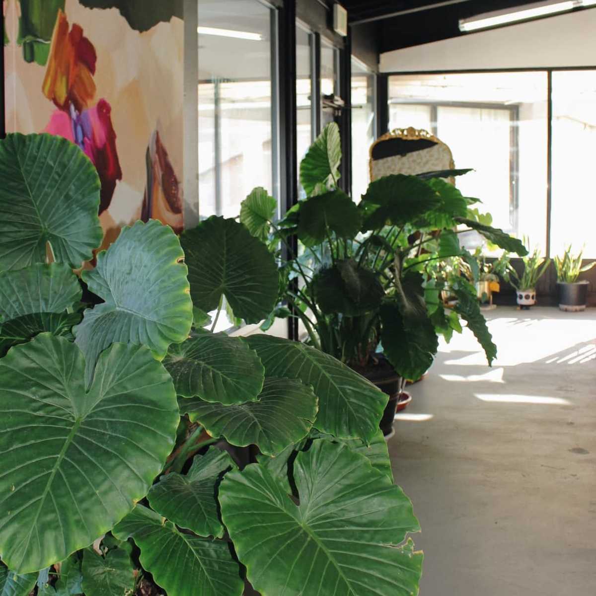 Vibrant Floral Studio for Rent in Golden Image in Applewood West, Golden, CO