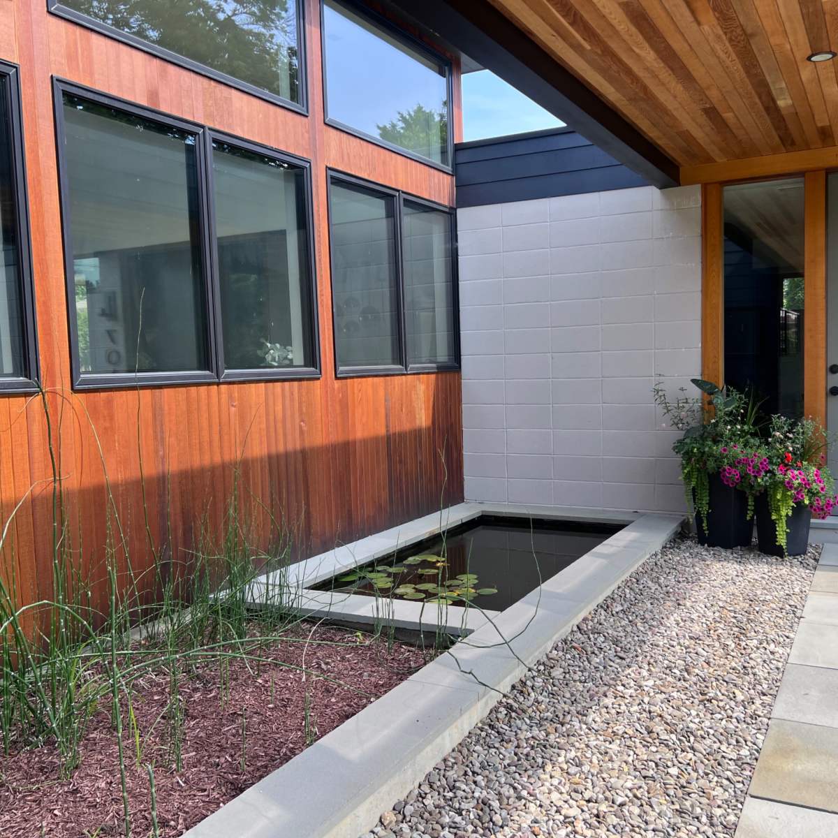 A modern entrance with a pond, landscaped plants, and a wooden overhang leading to a front door.