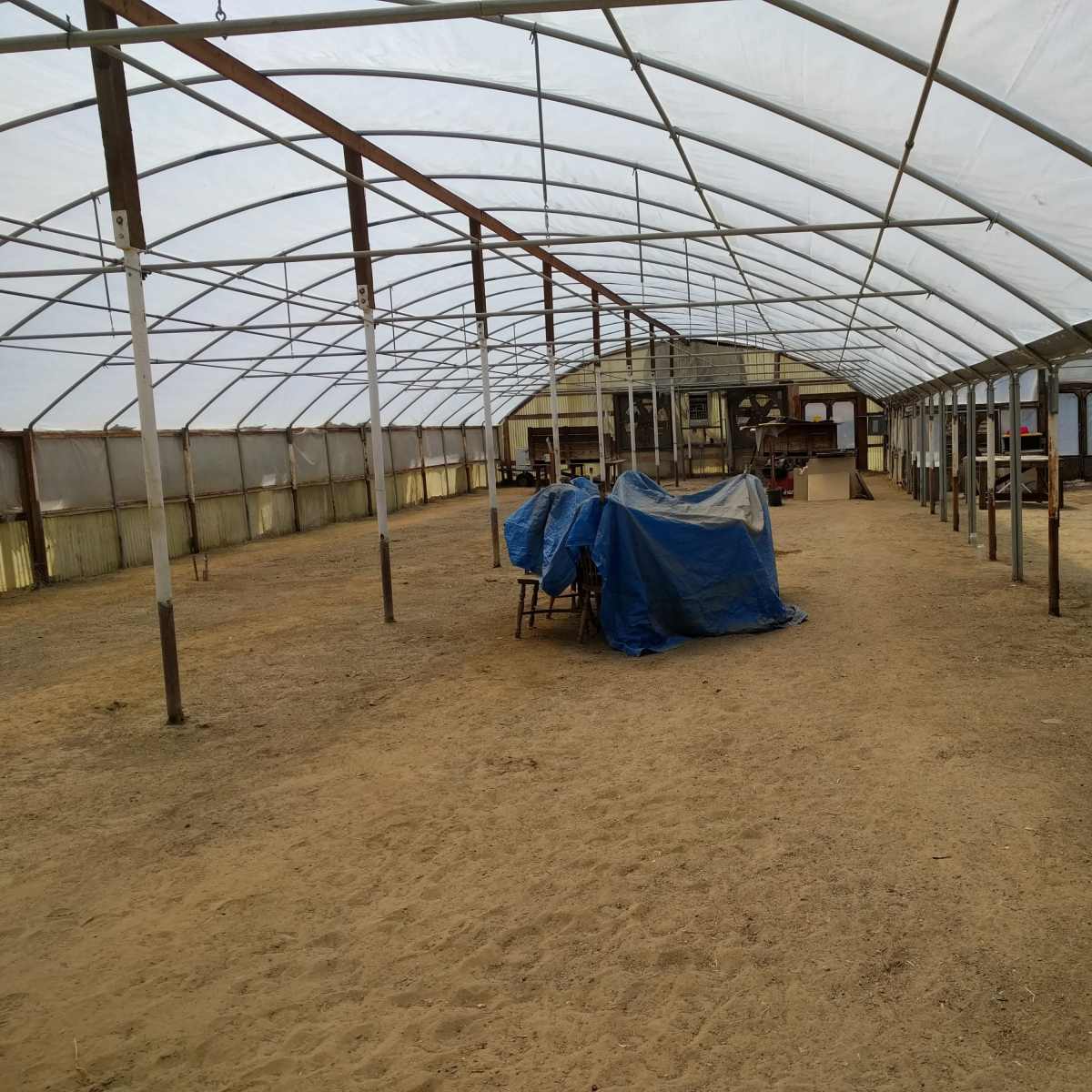 The interior of a large greenhouse with a sandy floor and several covered items in the center.