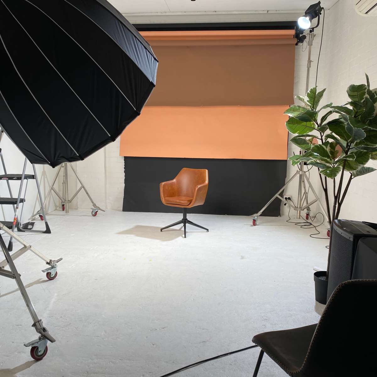 A minimal photography studio featuring a single brown chair, a large softbox light, a potted plant, and a backdrop with brown and black panels.