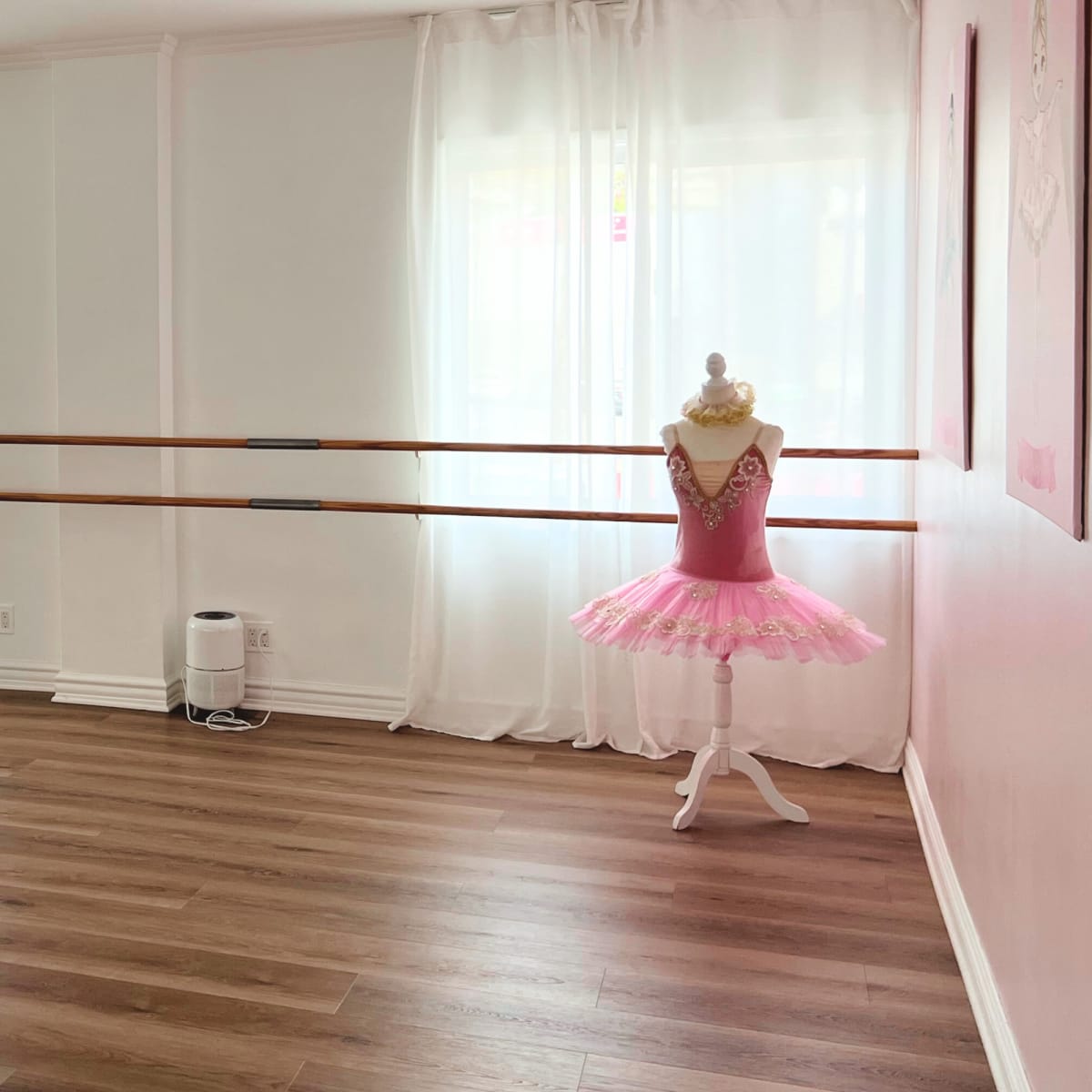 A dance studio featuring wooden ballet barres, sheer white curtains, and a mannequin dressed in a pink tutu.