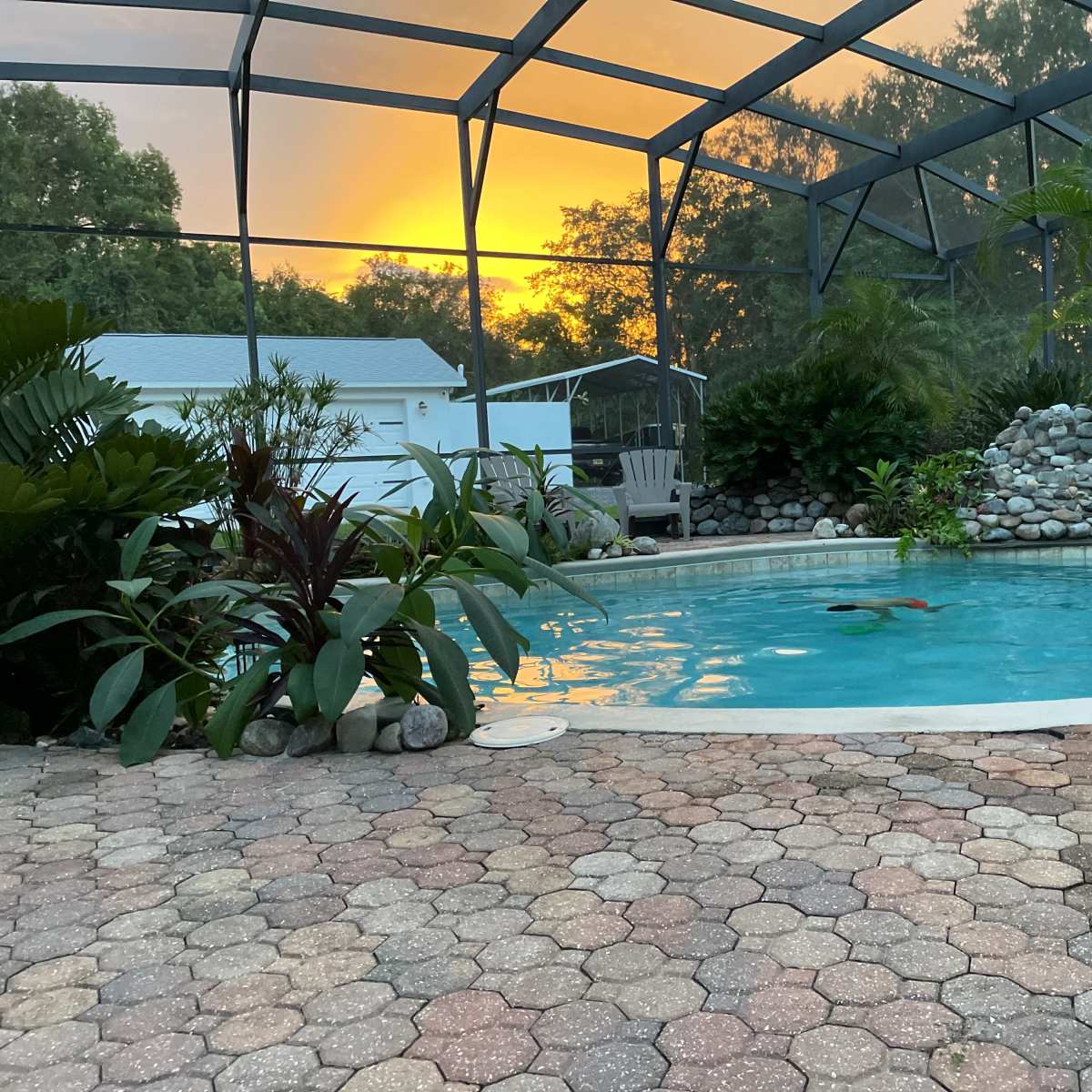 A swimming pool is surrounded by tropical plants and a stone feature, with a sunset visible through the screen enclosure.