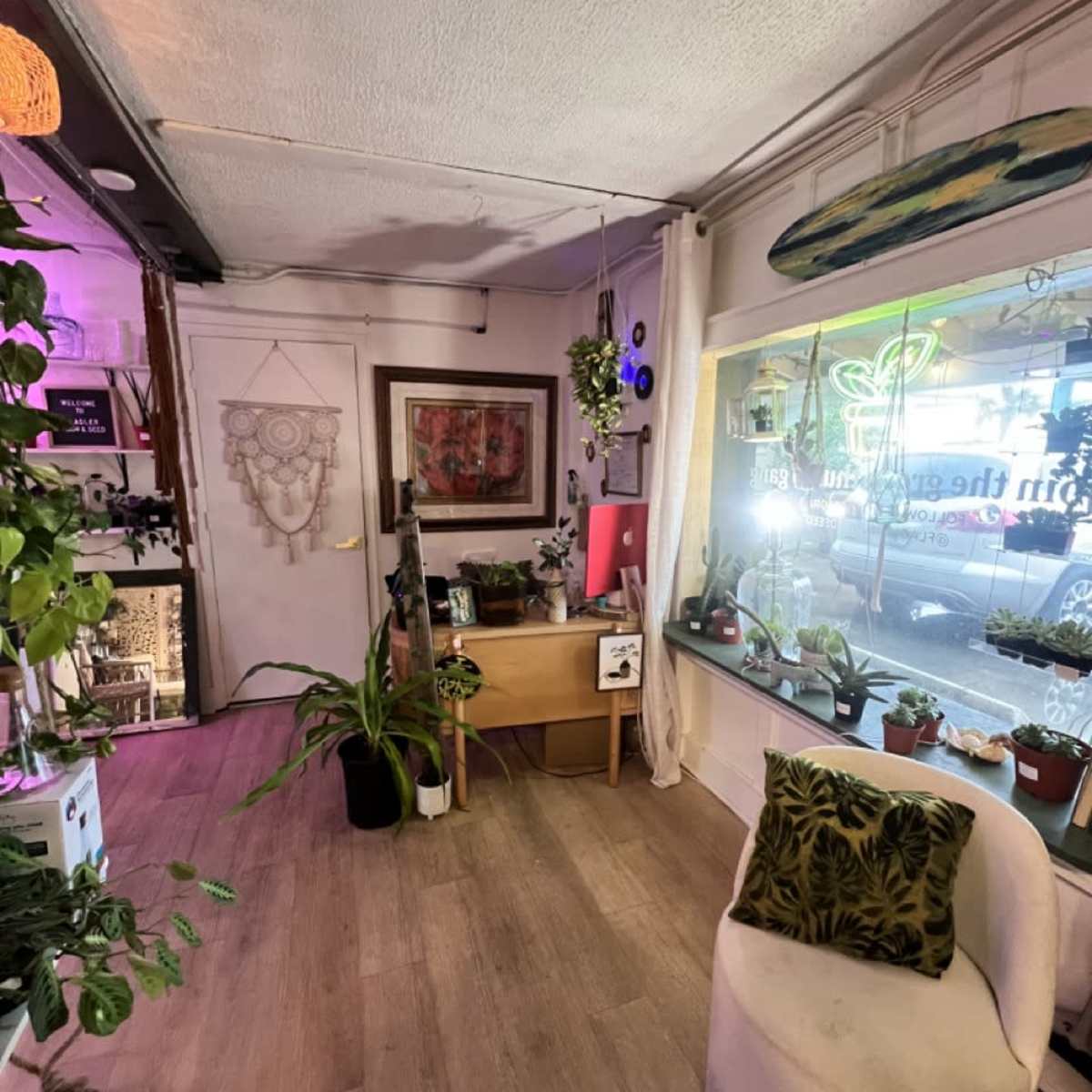 Beachfront Plant Shop & Outdoor Space in Flagler Beach Image in Flagler Beach, Flagler Beach, FL