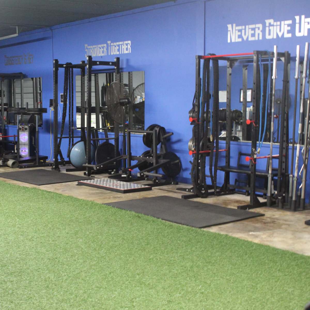 A well-equipped gym with various exercise machines, weights, and turf flooring along one side of a blue wall.