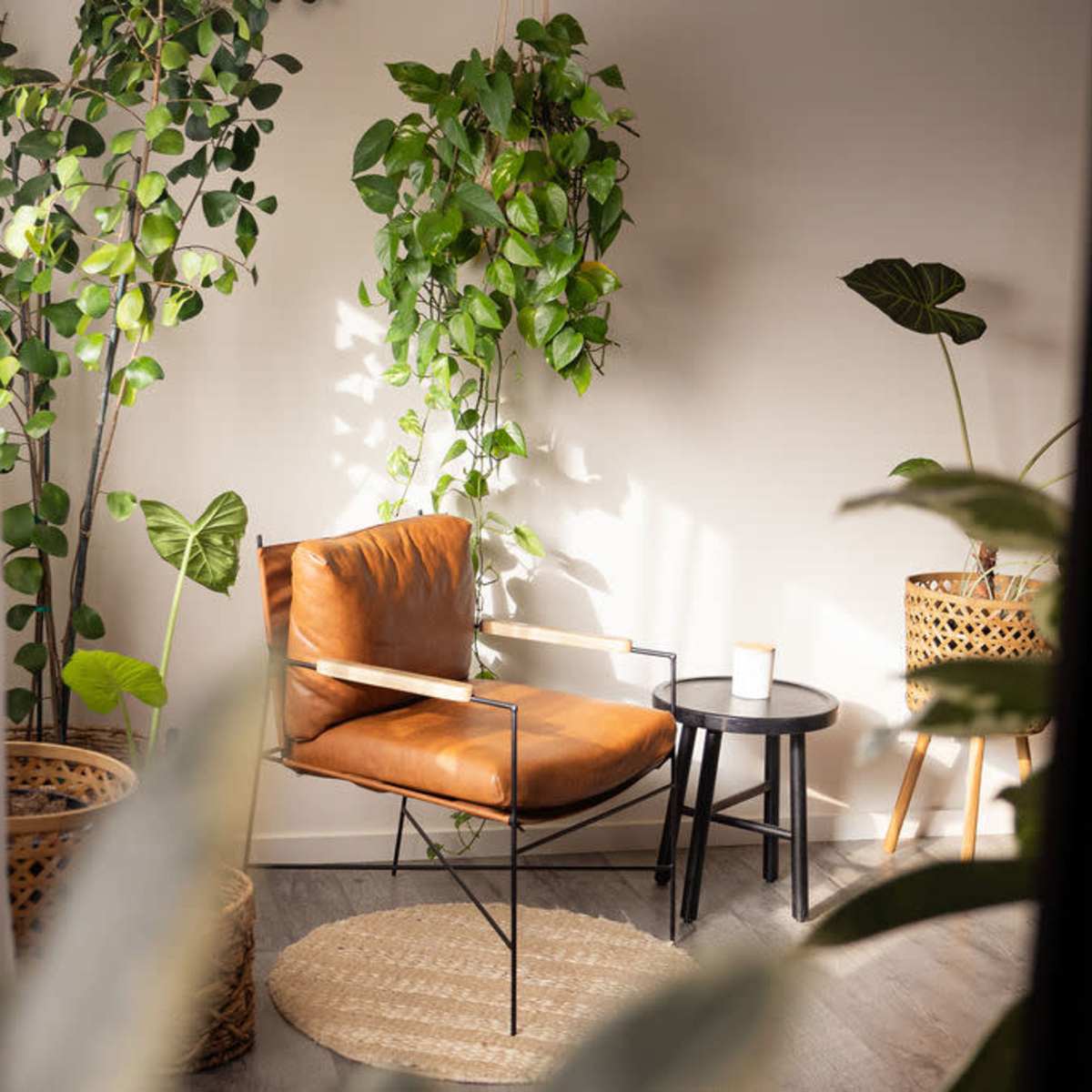 2 Neutral & Bold Natural Light Photo Studios in Huntington Beach Image in Oak View, Huntington Beach, CA
