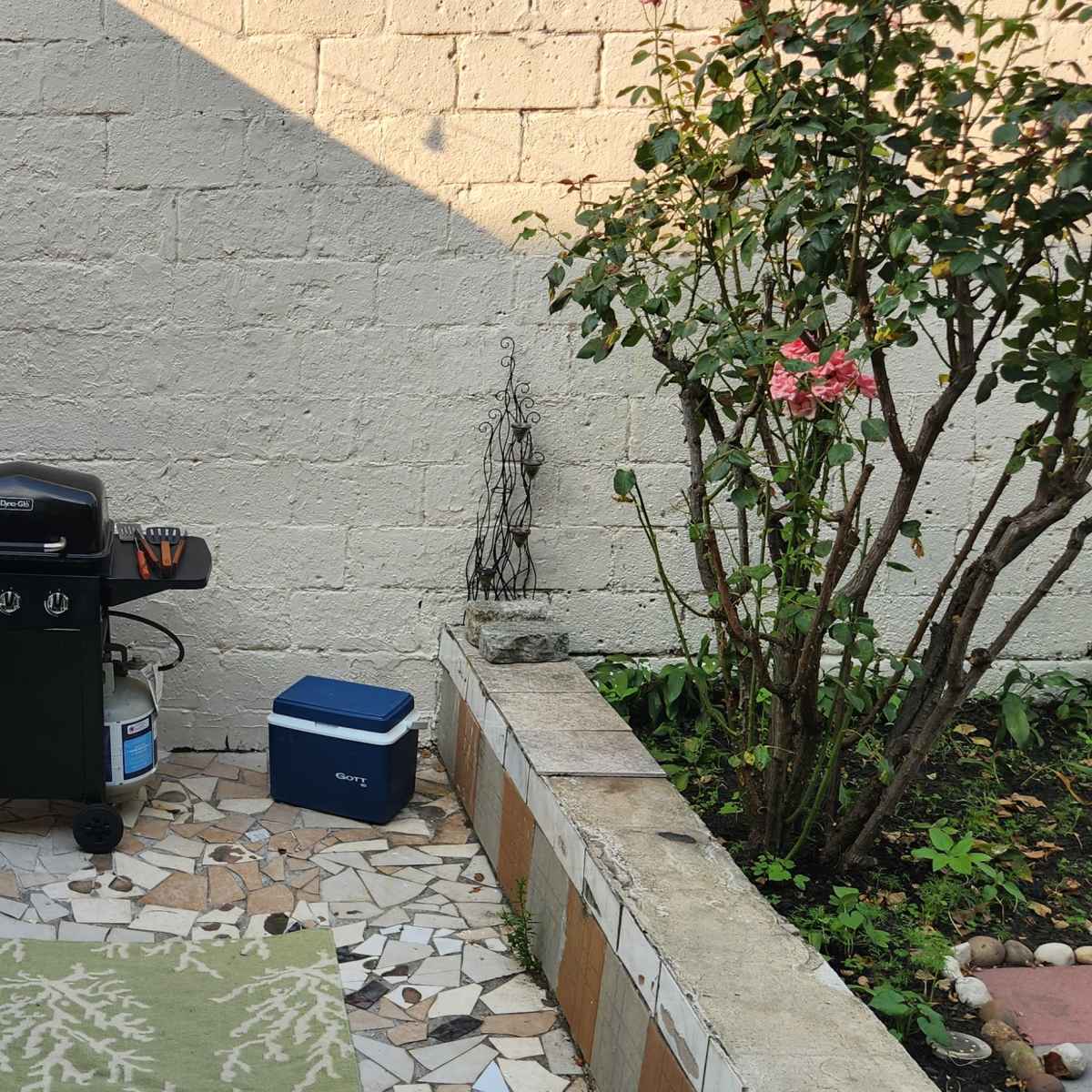 A small outdoor space with a black grill, two blue coolers, a potted plant, and a garden area featuring stones and greenery.
