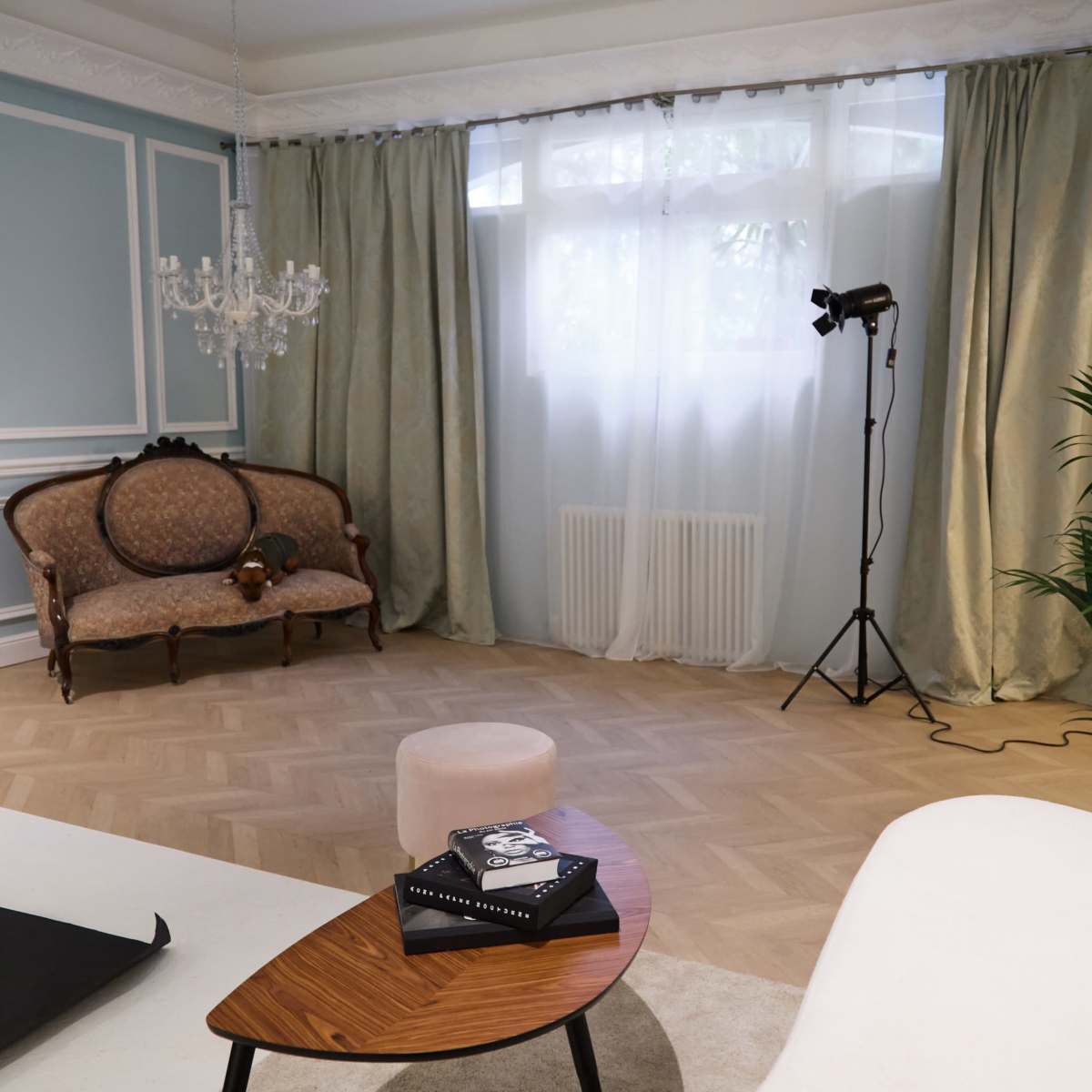 NEW! "Maestra" Studio Photo in Paris! in paris Image in Belleville, paris, 