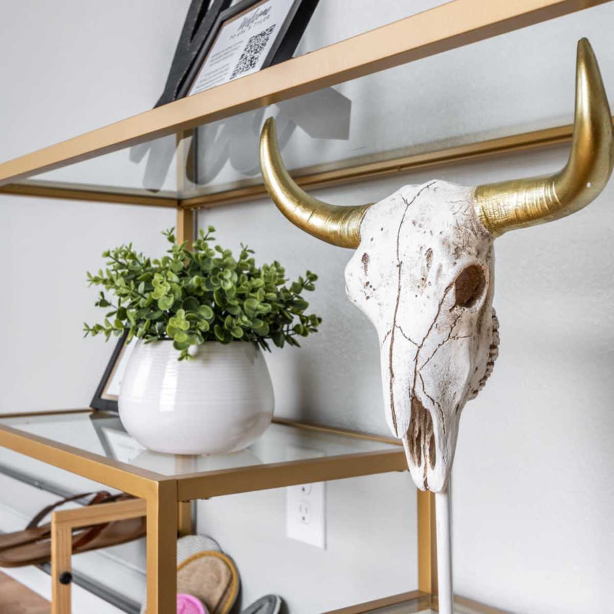 A decorative shelf features a white bull skull with gold horns, a potted plant, and various objects, against a light gray wall and wooden flooring.