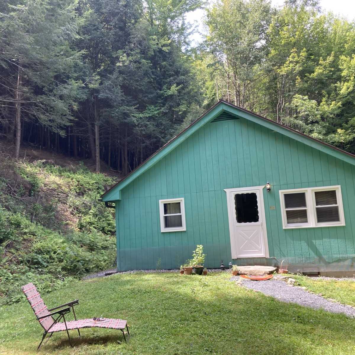 A small green house with a white door and windows sits in a grassy area surrounded by dense trees.