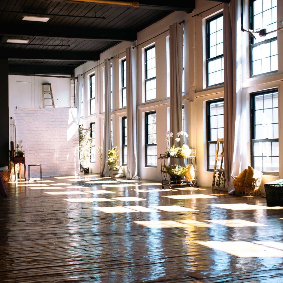 A spacious room with large windows casting shadows on a polished wooden floor, featuring plants and a few pieces of furniture.