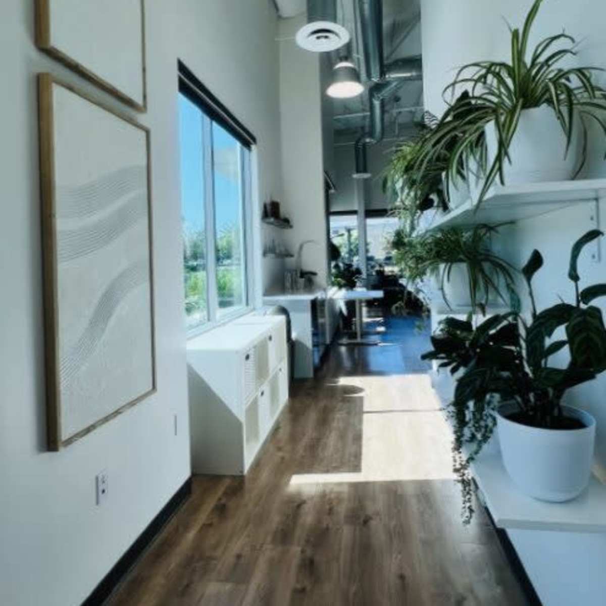 A narrow, well-lit corridor adorned with two framed artworks, leading to an open space with plants and modern furniture.