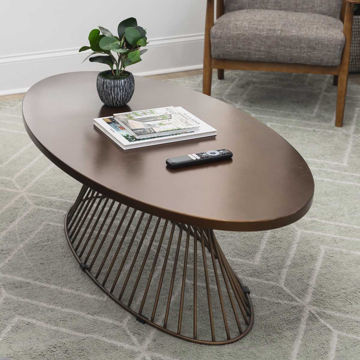 A brown oval coffee table with a metal base supports a potted plant and a stack of magazines, with a remote control nearby, on a patterned rug in a living room setting.