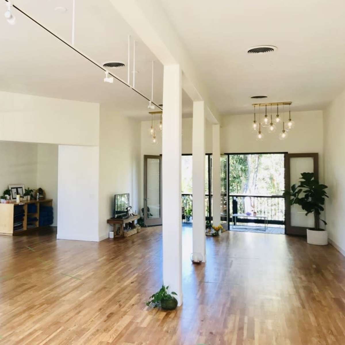 A spacious, well-lit room with wooden flooring, potted plants, and large windows providing access to an outdoor area.