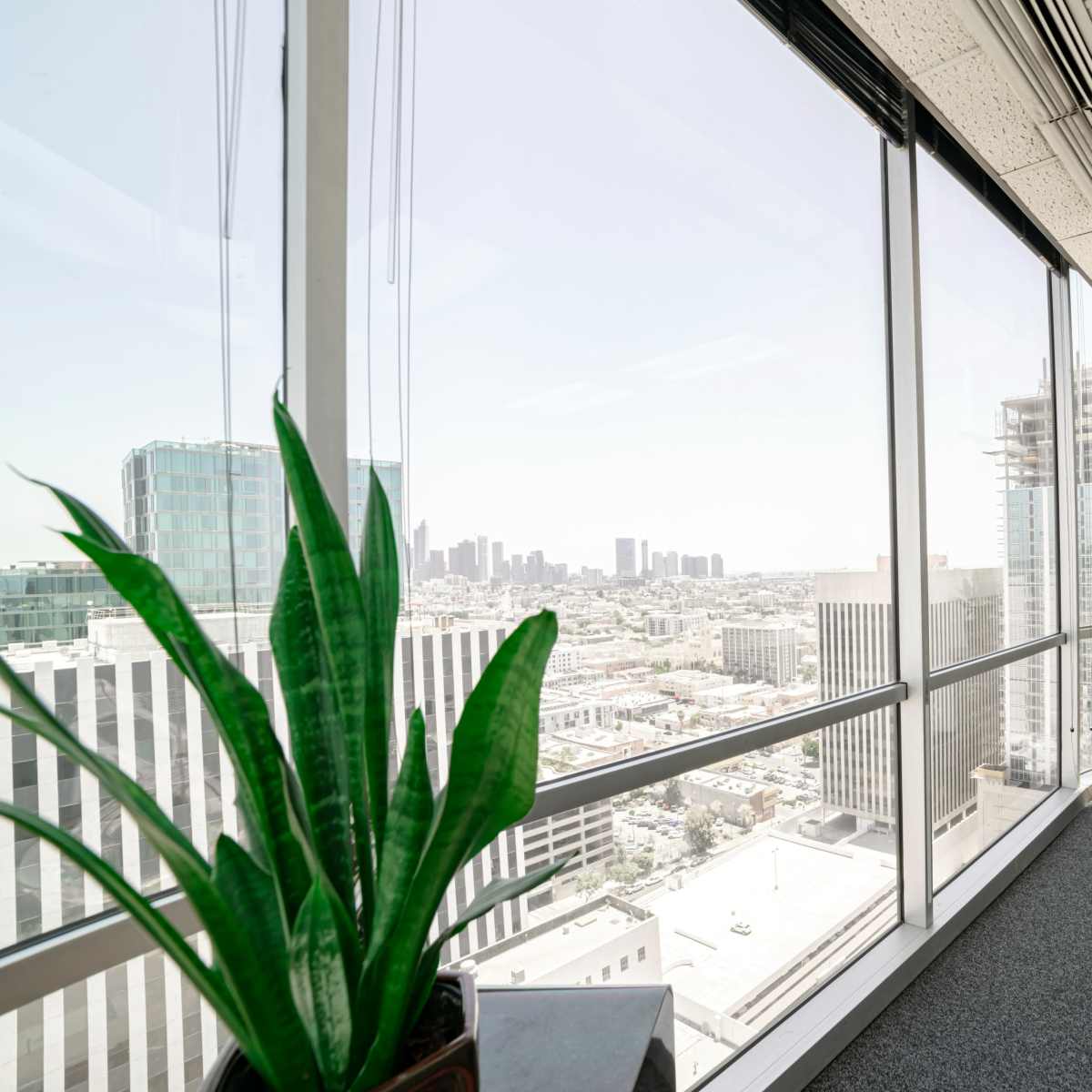 A high-rise office space with large windows overlooking a city skyline, featuring potted plants in the corners.