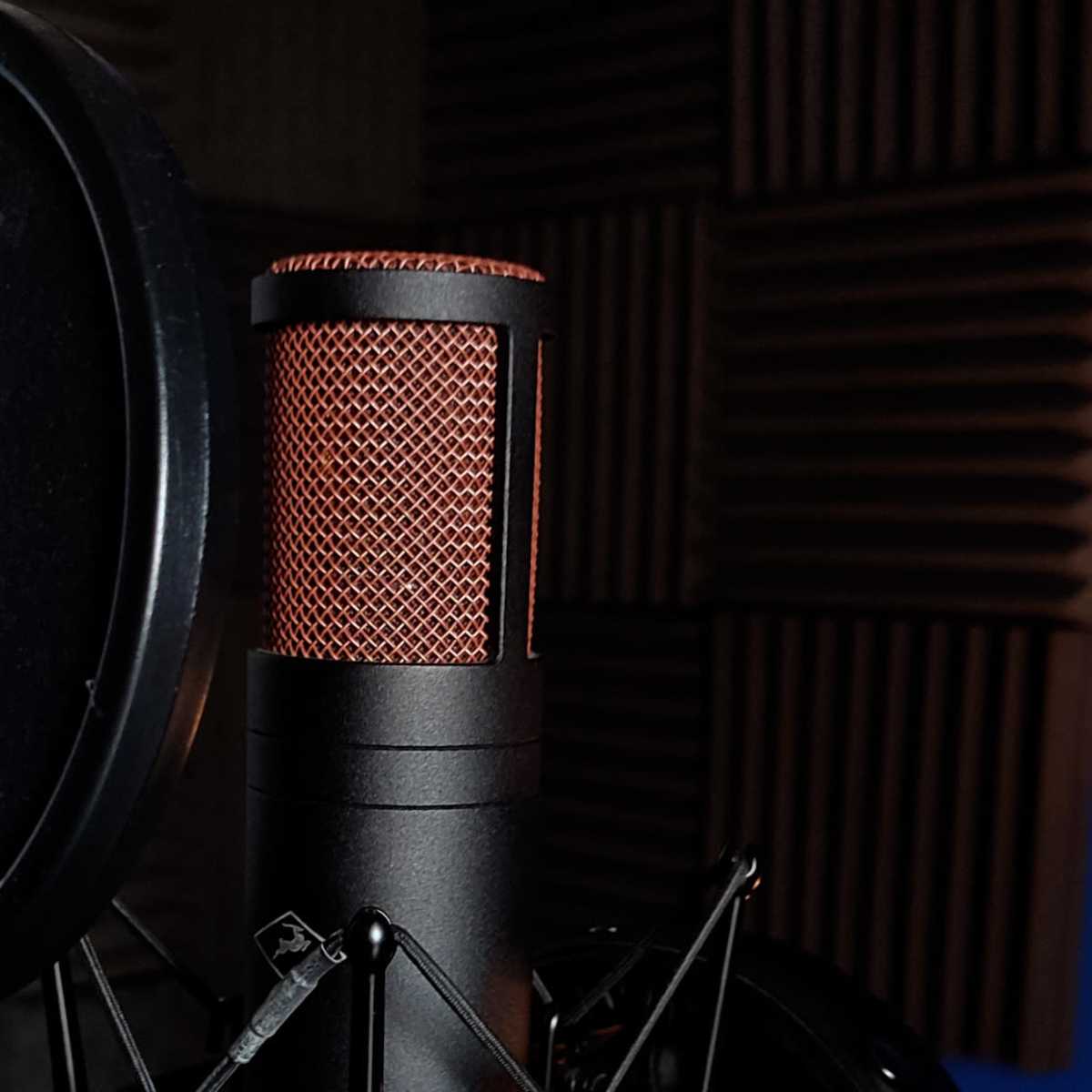 A black microphone with an orange mesh cover is positioned next to a pop filter in a soundproof studio.