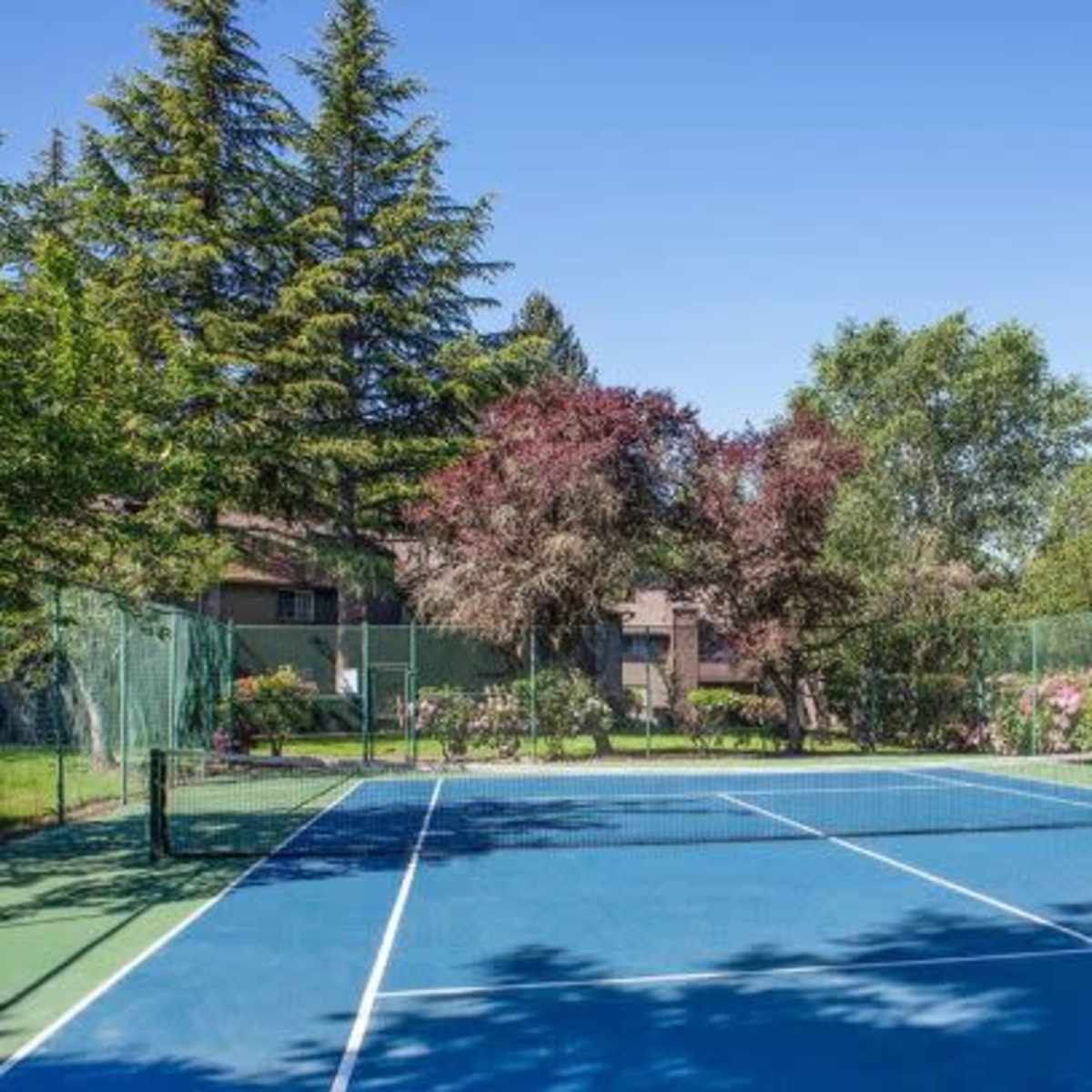 A blue tennis court surrounded by trees and blooming shrubs under a clear sky.