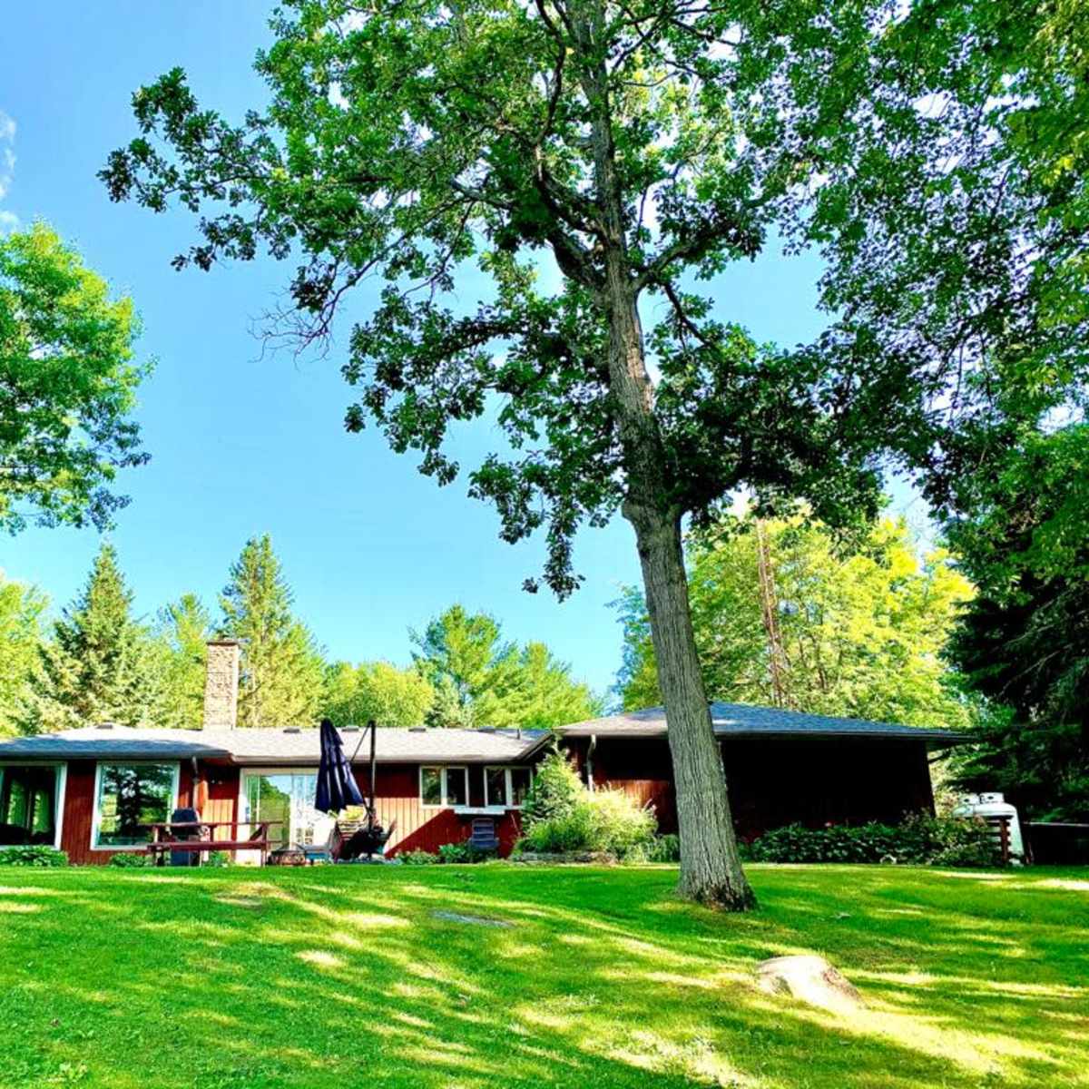 A single-story red house with large windows sits on a green lawn surrounded by trees under a clear blue sky.