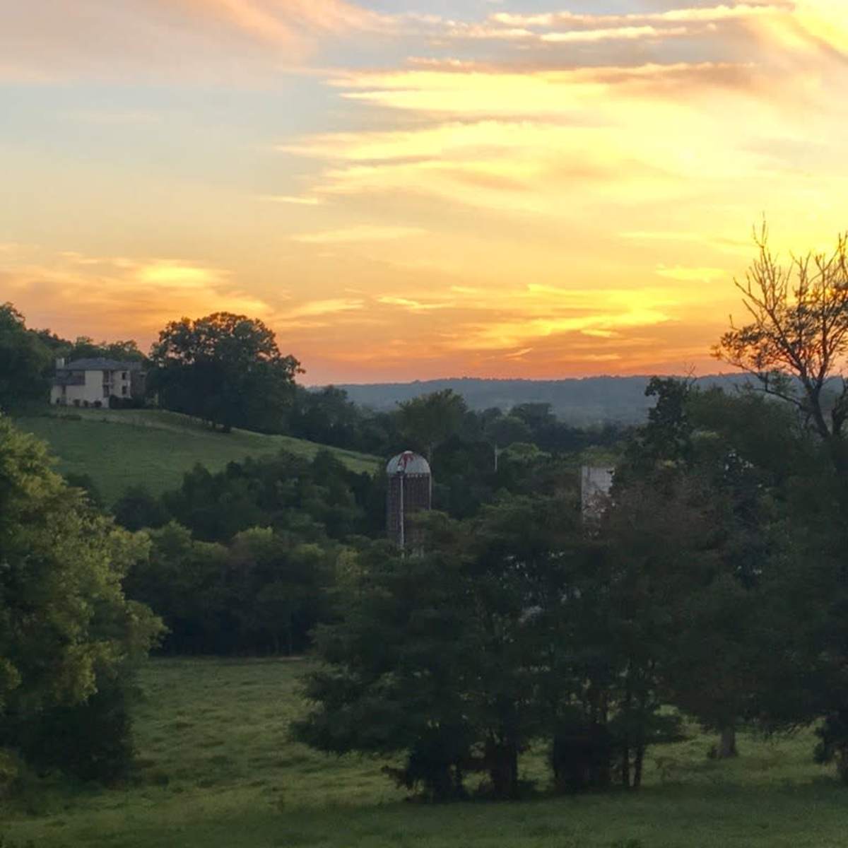 200 Acres of Rolling Countryside in COLUMBIA Image in , COLUMBIA, TN