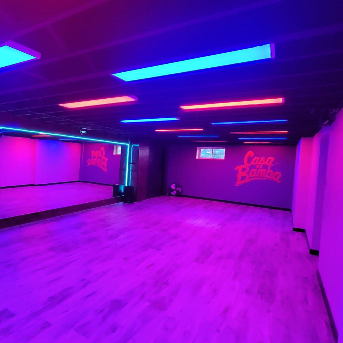 Vibrant Lower-Level Space in Toronto Image in Regal Heights, Toronto, ON