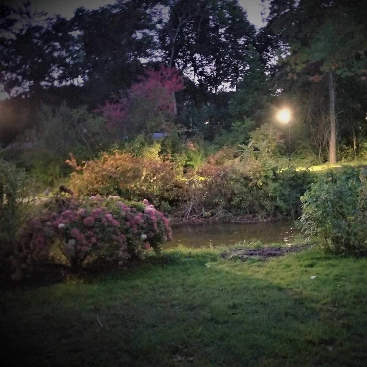 The scene features a tranquil garden with a small pond surrounded by greenery and blooming flowers, illuminated by soft lights in the evening.