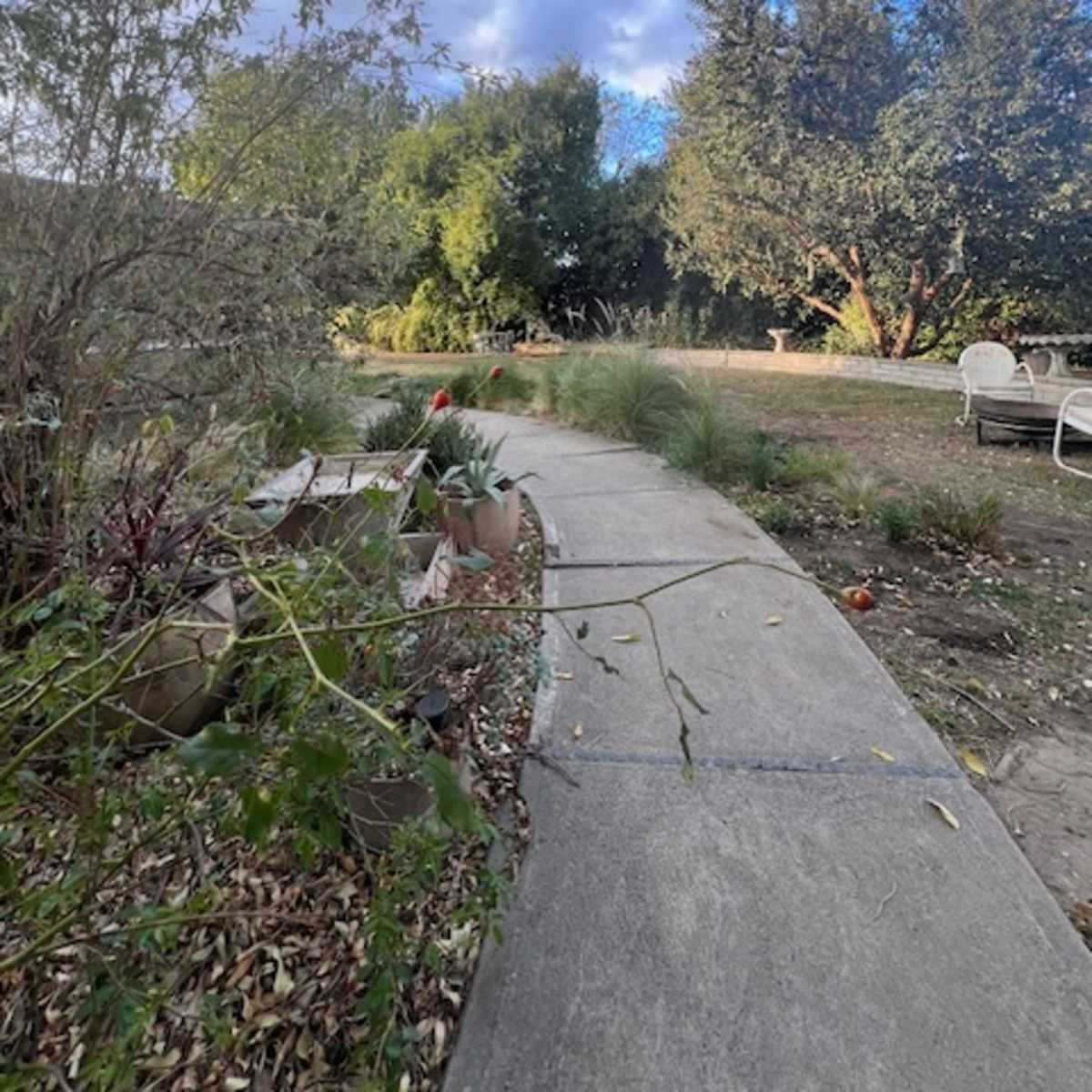 Cool San Fernando Mid Century w/ park like yard in Northridge Image in Northridge, Northridge, CA