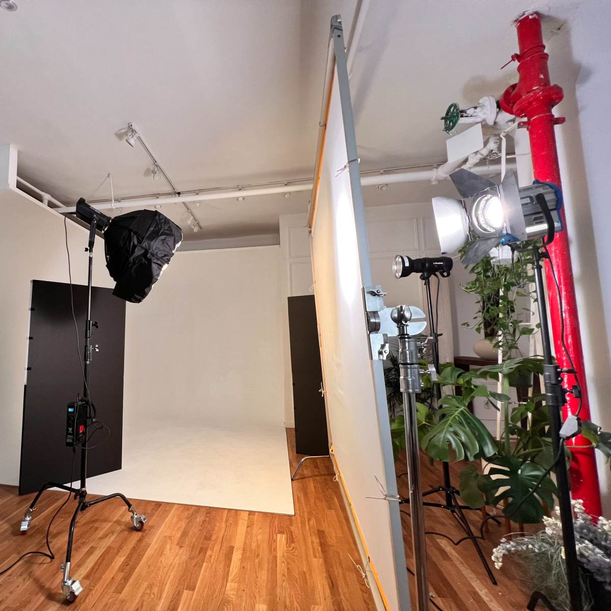 A photography studio setup featuring a curved backdrop, lighting equipment, and black panels arranged on a wooden floor.