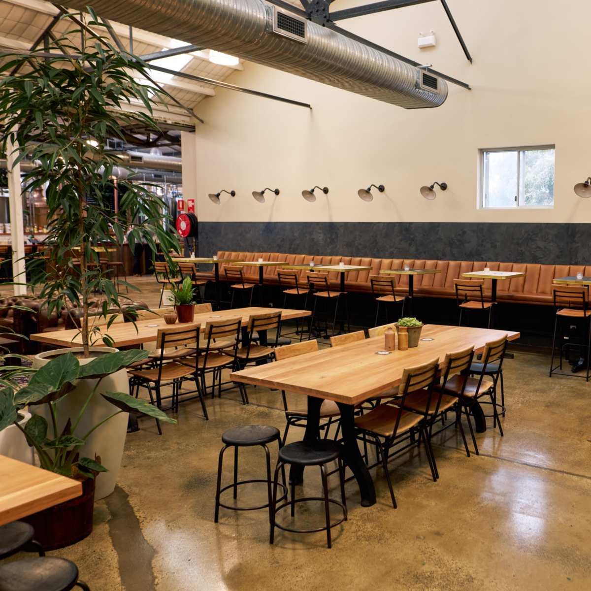 Sophisticated Industrial Brewery and Tap Room in St Peters Image in Saint Peters, St Peters, NSW