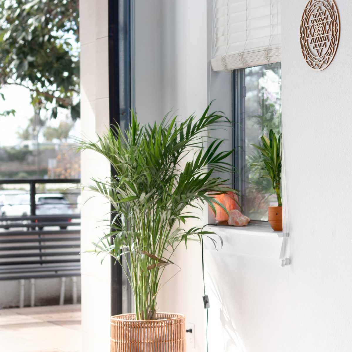 Cute Boho Yoga and Dance Studio with Natural Light in Carlsbad Image in Carlsbad, Carlsbad, CA